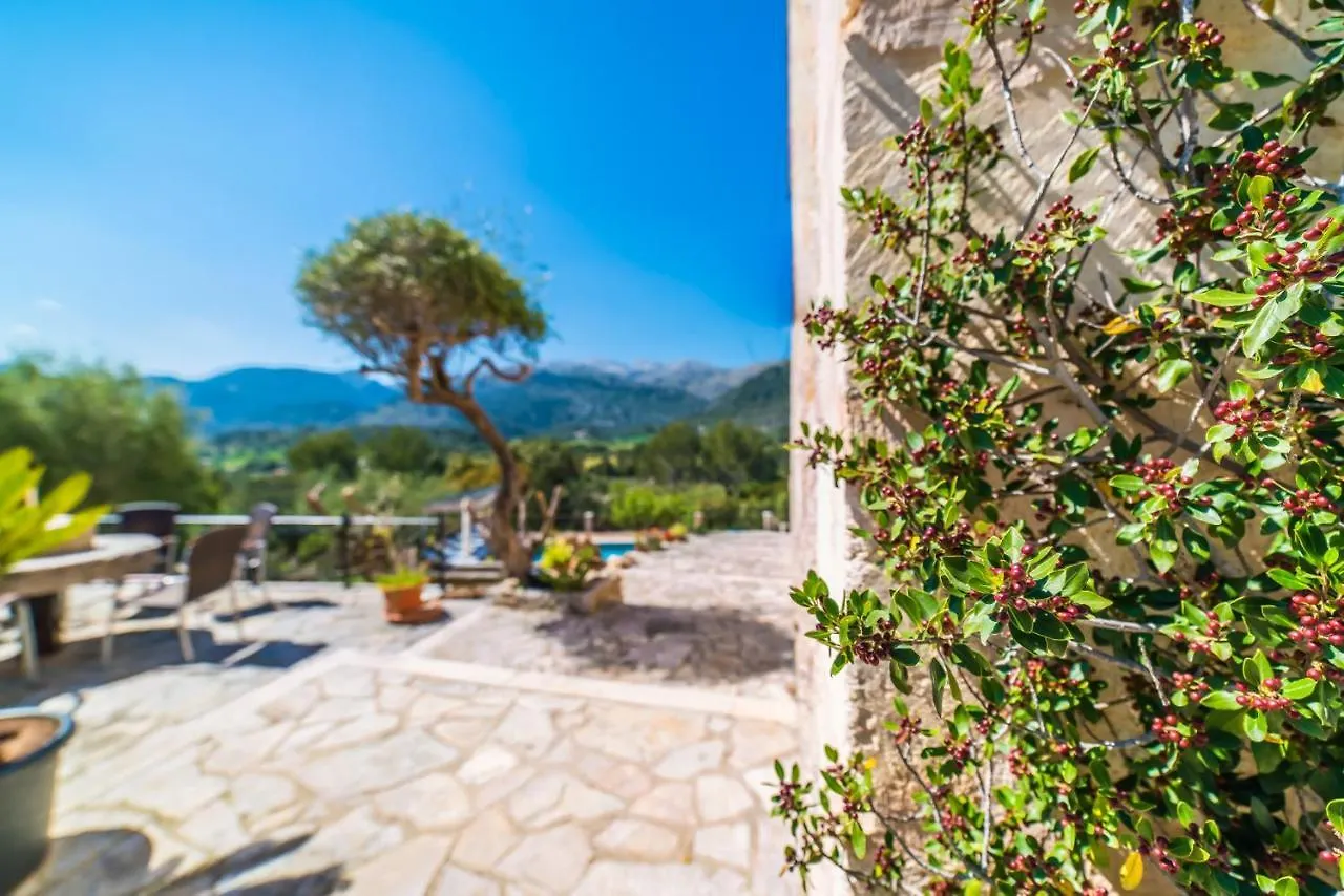 منزل ريفي كامبانيت Ideal Property Mallorca - Caselles Petit إسبانيا